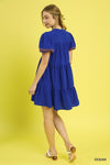 Royal Embroidered Dress